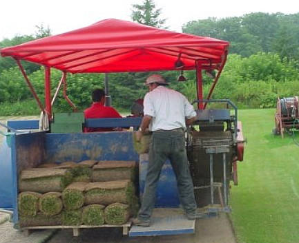 Northern Sod Farms 262