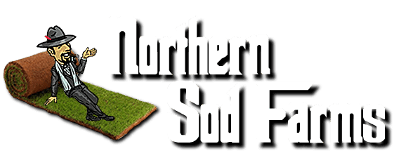 Northern Sod Farms 203