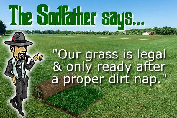 Northern Sod Farms 204